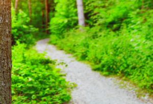 Fällt leider aus: Spirituelle Männerwanderung vom 18. bis 20.10.2024