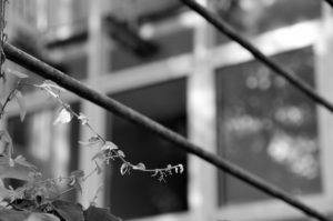 Retreat in Bewegung!