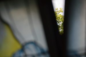 Impulsexerzitien: „Suche Frieden!“