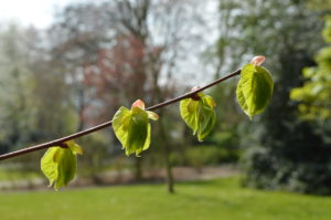 SinnenZeit – Die Schöpfung erleben am 21. Mai 2022