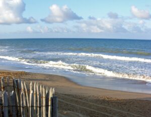 Raus aus dem Hamsterrad: Meditationstag mit Einführung am 23.09.2023