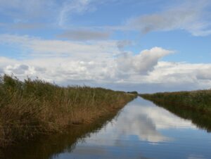 Oasentag für Paare am Sonntag, den 7. April 2024