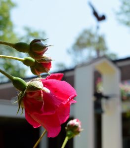 Herzliche Einladung an alle, die sich als Paar verstehen!