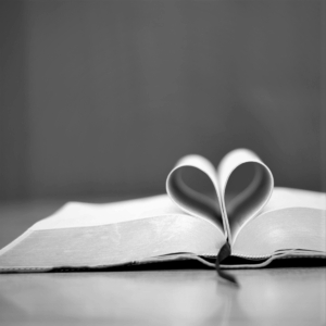 Bibliodramatag – 15.11.25